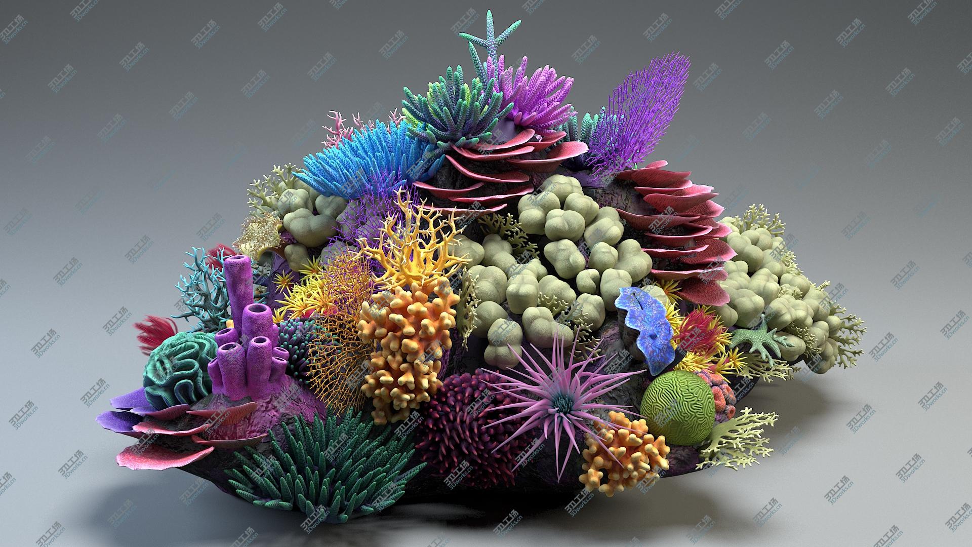 images/goods_img/202104022/Coral Reef 01 3D/2.jpg